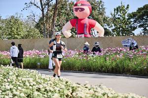 BIB: 
                            <button type="button" onclick="openModal(27804955)" class="btn btn-primary btn-sm float-right btn-popup" data-toggle="modal" data-target=".modal-high-quality">
                        <i class="fas fa-shopping-cart"></i> Add to Cart
                    </button>
                                            <button type="button" onclick="isThisMe(27804955, true)" class="btn btn-success btn-sm float-right btn-popup btn-isme hidden" data-toggle="tooltip" data-placement="bottom" title="นี่คือรูปของคุณใช่ไหม คลิกที่นี่เพื่อเอาเข้าอัลบั้ม">
                        <i class="fas fa-plus"></i> Add to album
                    </button>
                    <button type="button" onclick="isThisMe(27804955, false)" class="btn btn-warning btn-sm float-right btn-popup btn-isnotme hidden">
                        <i class="fas fa-ban"></i> Remove from album
                    </button>